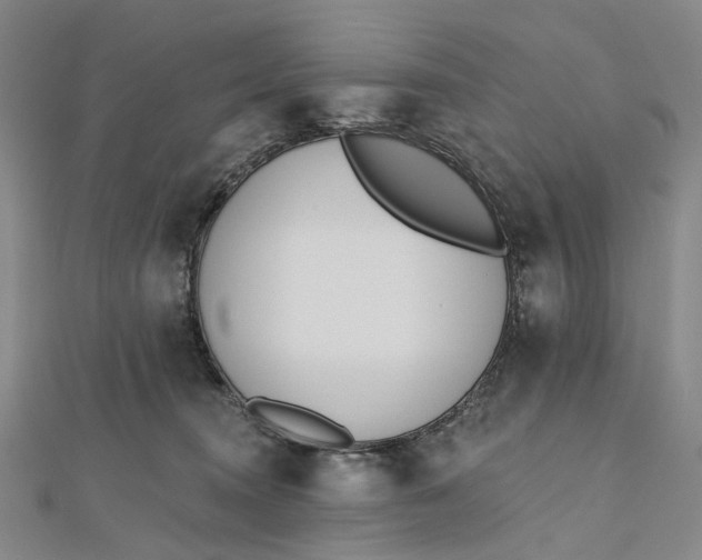 X0000112500372200908311457