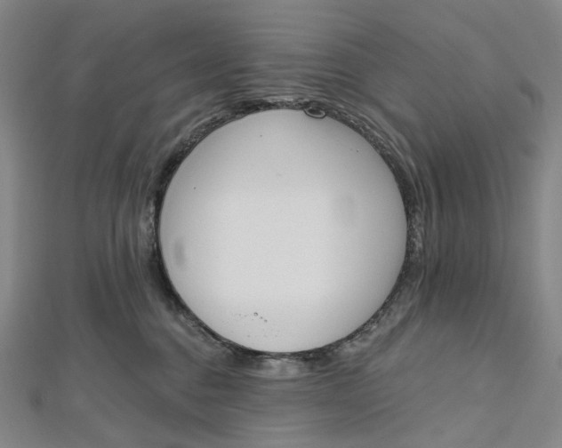 X0000112500376200908311457