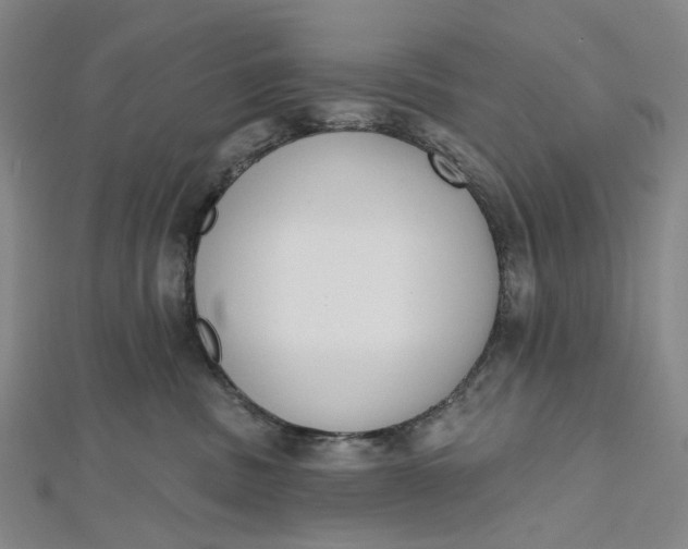 X0000112500379200908311457