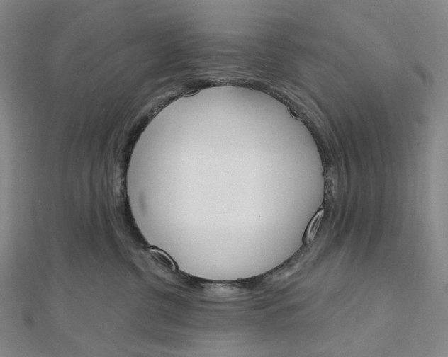 X0000112500380200908311457