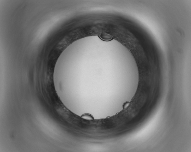 X0000112500382200908311457