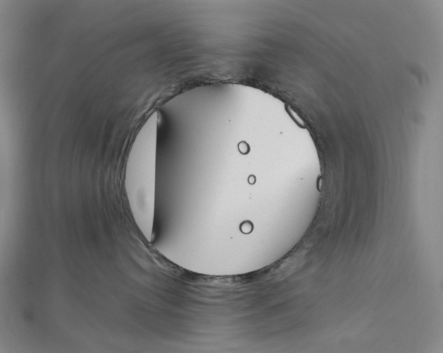 X0000112500384200908311457