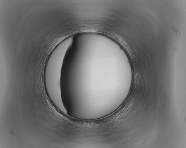 X0000112500385200908311456