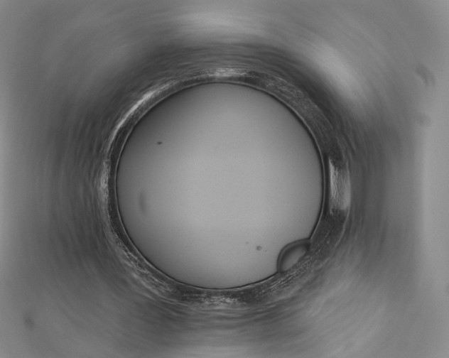 X0000112500387200908311456