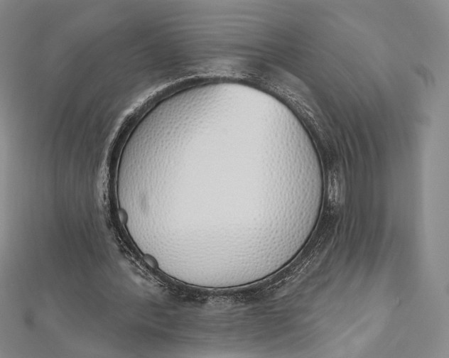 X0000112500388200908311456