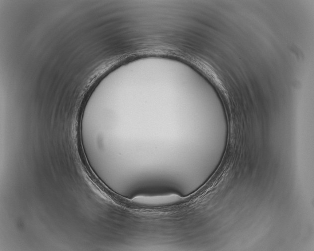 X0000112500389200908311456