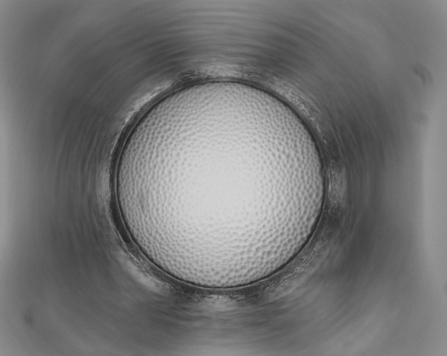 X0000112500390200908311456