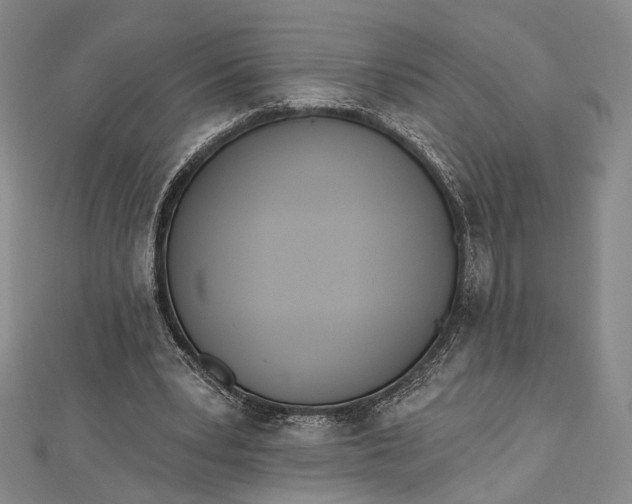 X0000112500391200908311456