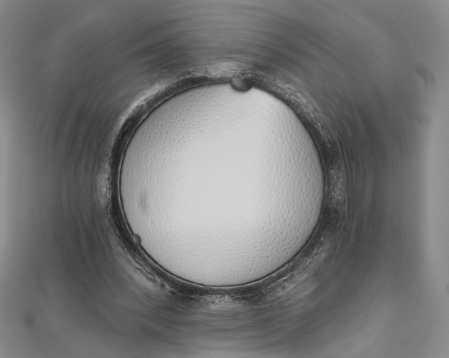 X0000112500392200908311456