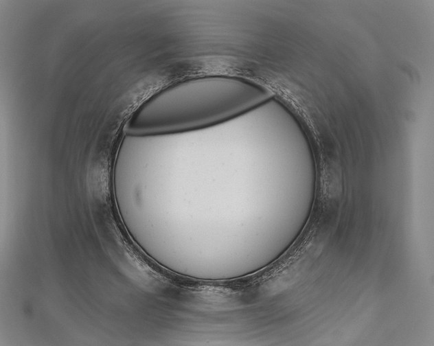 X0000112500393200908311456