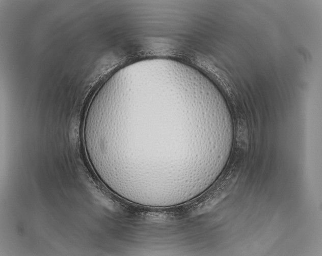 X0000112500394200908311456