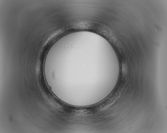 X0000112500396200908311456