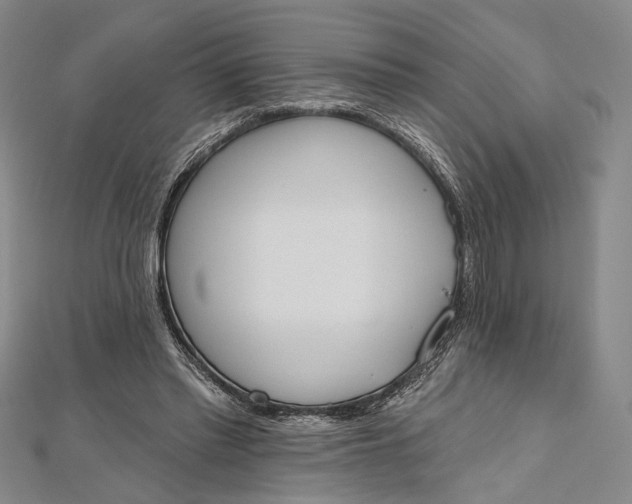 X0000112500397200908311456