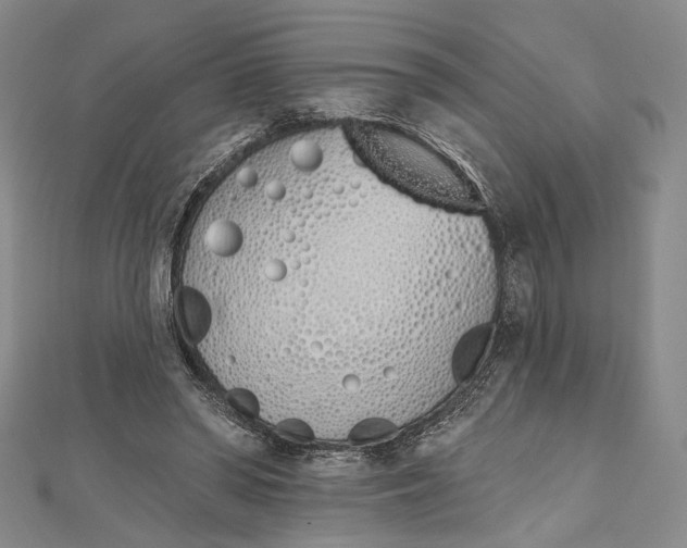 X0000112500398200908311456