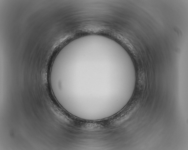 X0000112500399200908311456