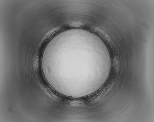 X0000112500400200908311456