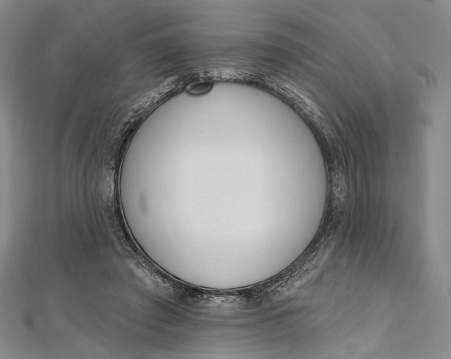 X0000112500401200908311456