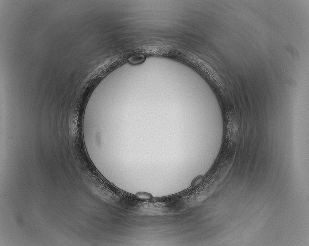 X0000112500403200908311456