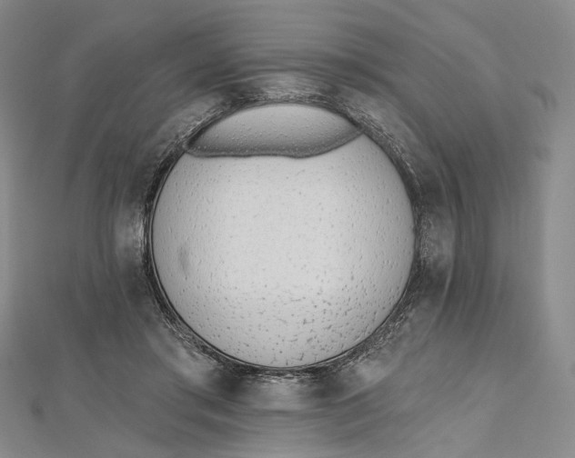 X0000112500405200908311456