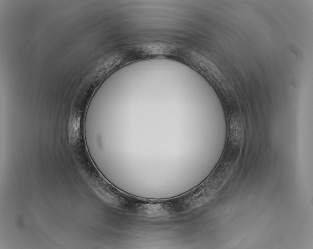 X0000112500406200908311456