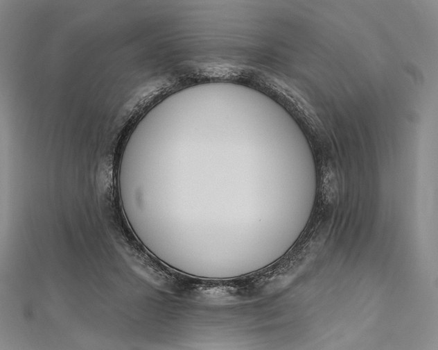 X0000112500407200908311456