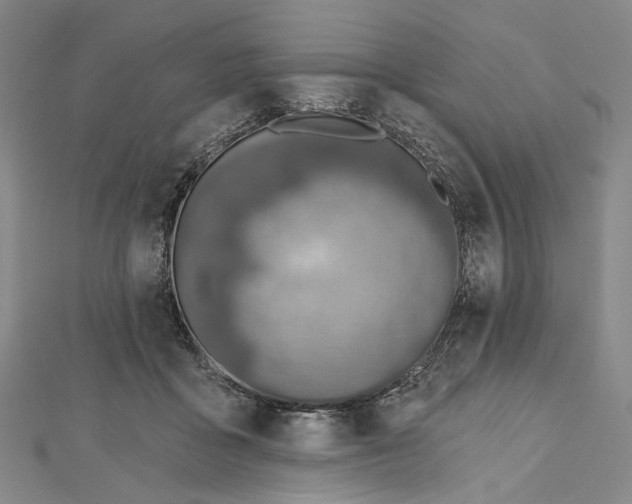 X0000112500411200908311456