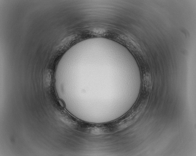 X0000112500412200908311456