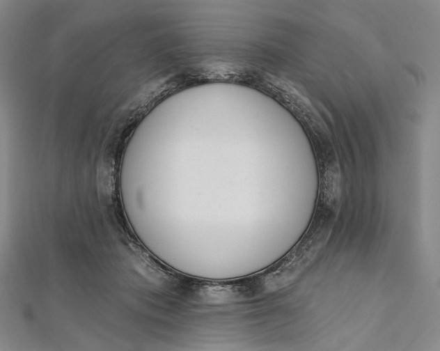 X0000112500413200908311456