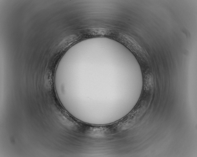 X0000112500414200908311456