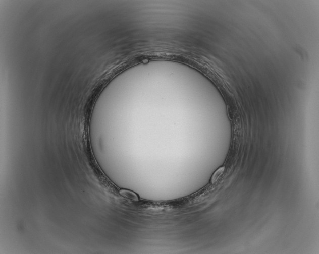 X0000112500415200908311456