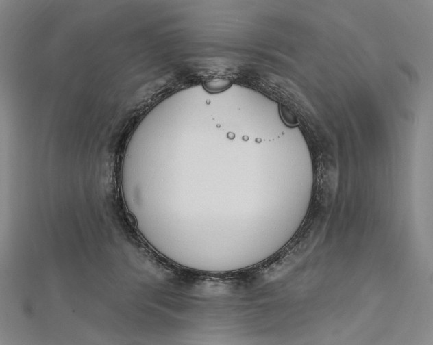 X0000112500416200908311456