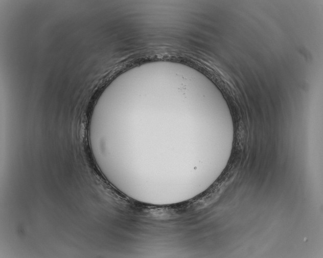 X0000112500417200908311456