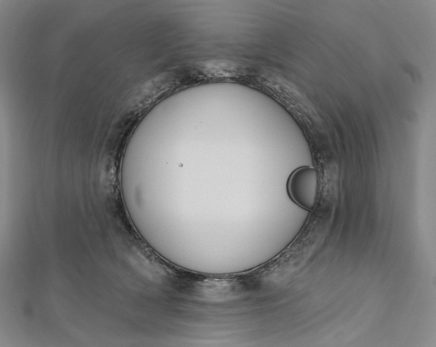 X0000112500418200908311456