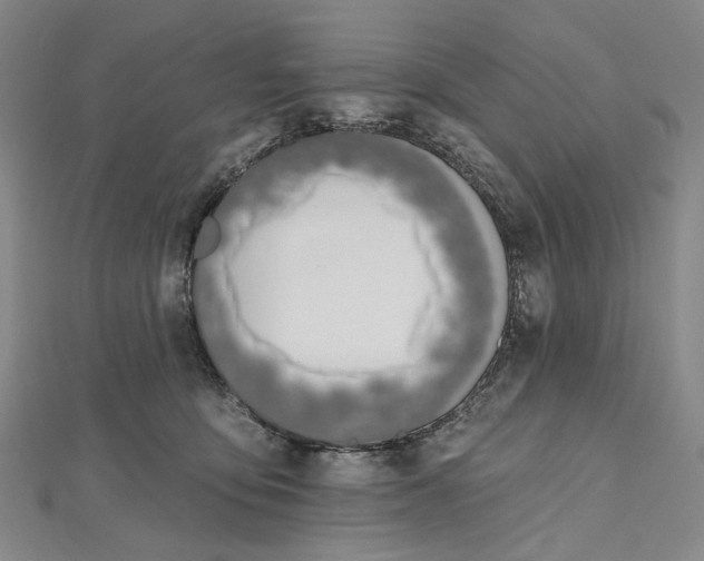 X0000112500419200908311456