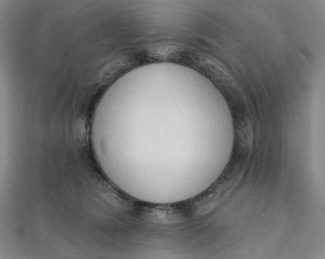 X0000112500420200908311456