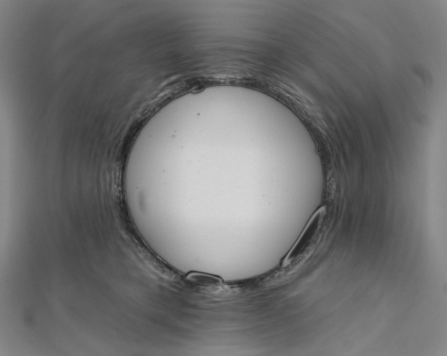 X0000112500421200908311456