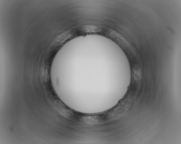 X0000112500422200908311456