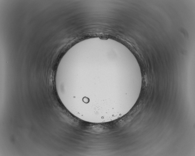 X0000112500423200908311456