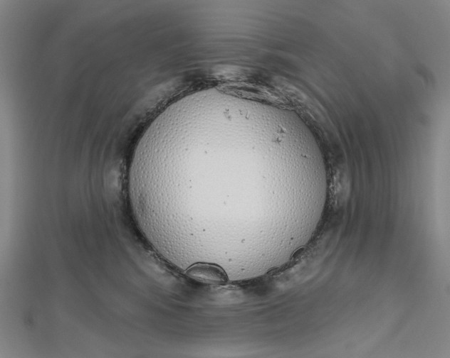 X0000112500424200908311456