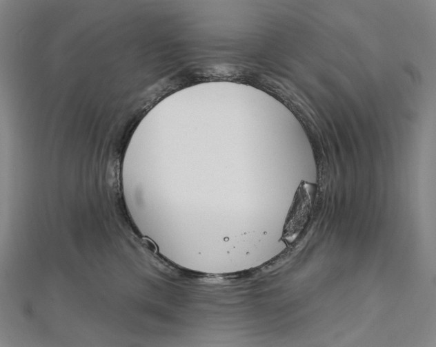 X0000112500425200908311456