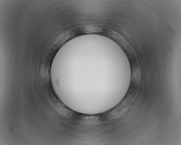 X0000112500426200908311456