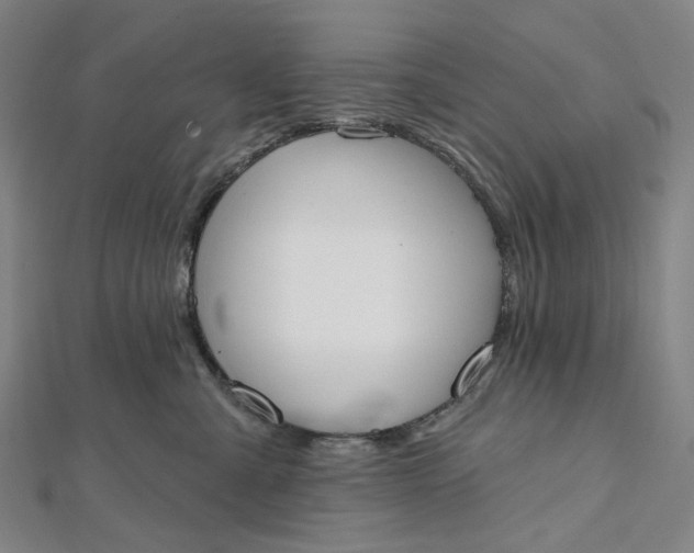 X0000112500427200908311456