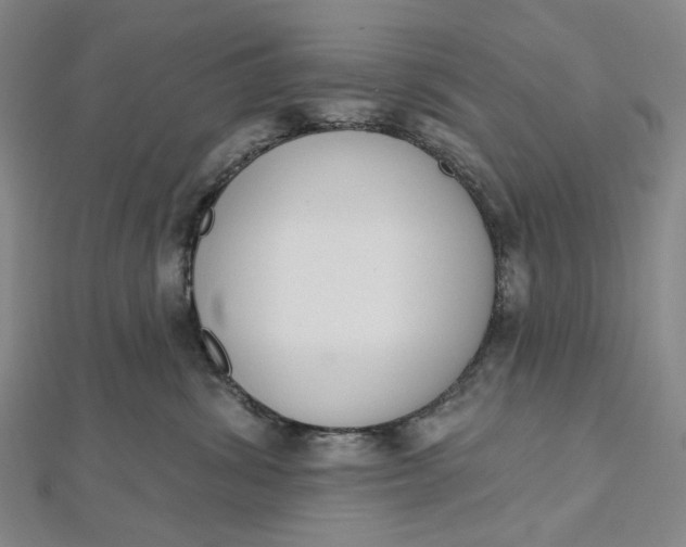 X0000112500428200908311456