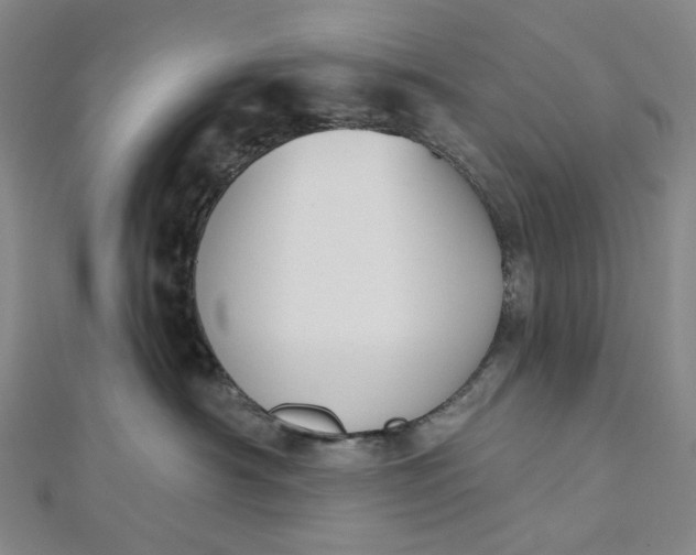 X0000112500430200908311456