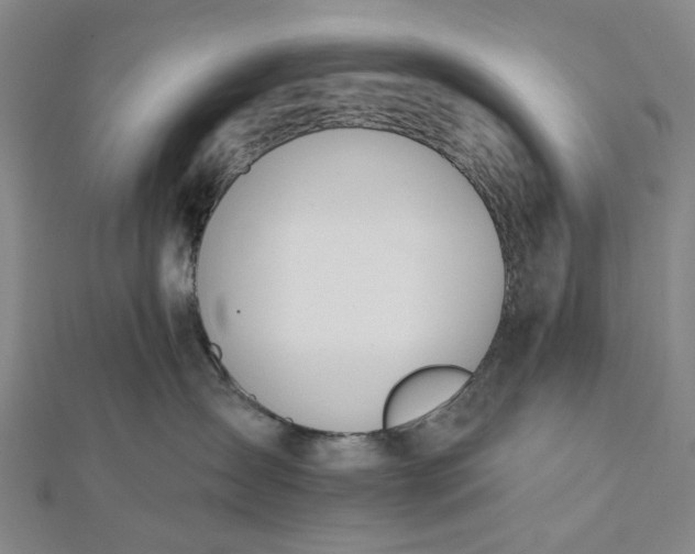 X0000112500431200908311456