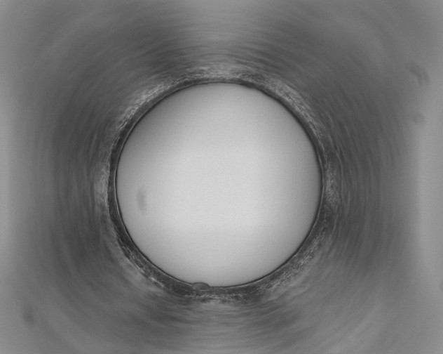 X0000112500434200908311455