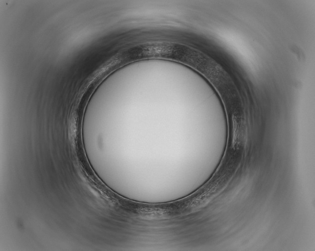 X0000112500435200908311455