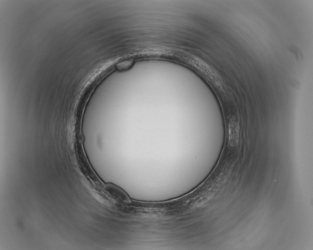 X0000112500436200908311455