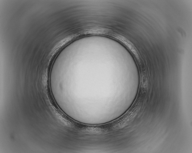 X0000112500437200908311455