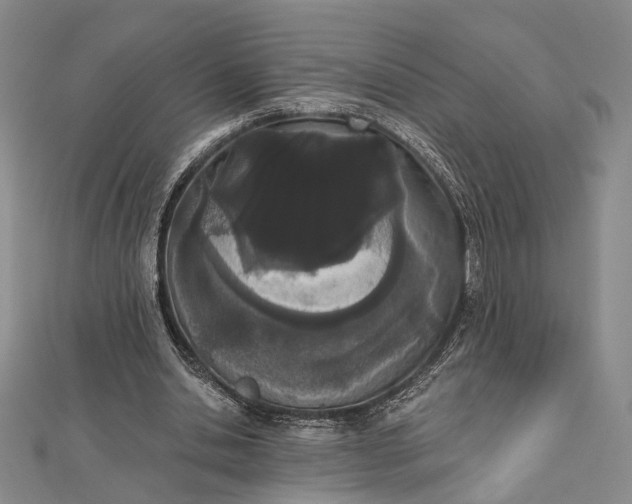 X0000112500438200908311455